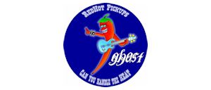 Ghost Guitar Pickups